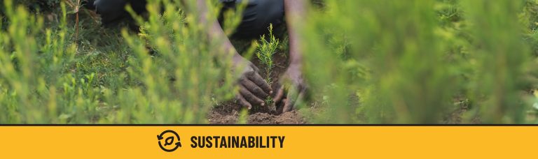 Man planting seedlings in a field with the word sustainability at the bottom