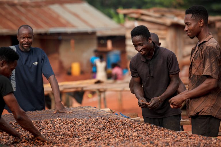 Cocoa farmers and members of the Edwinase Cocoa Farmers Cooperative Society seen processing cocoa beans in Edwinase, Ahafo Region-Ghana. January 14, 2021. In photo: L-R Cocoa farmers Paul Asante, 40, Sambi Segetege, 51, Amaka Kumi, 20, and Nee Jones, 34.