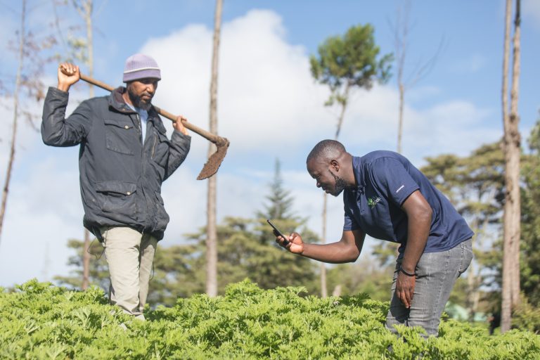 farmforce oil farmer