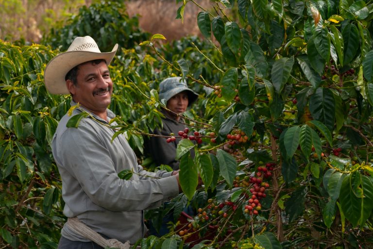 Coffee Farmers