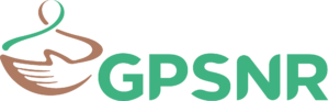 gpsnr logo